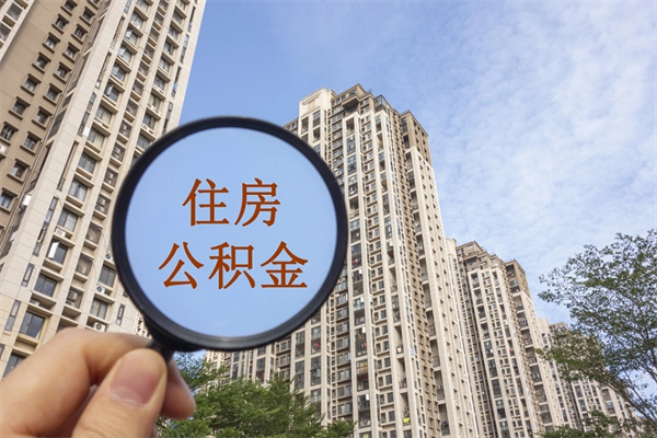 公积金还看征信吗吗_嘉善公积金代办在职离职封存服务